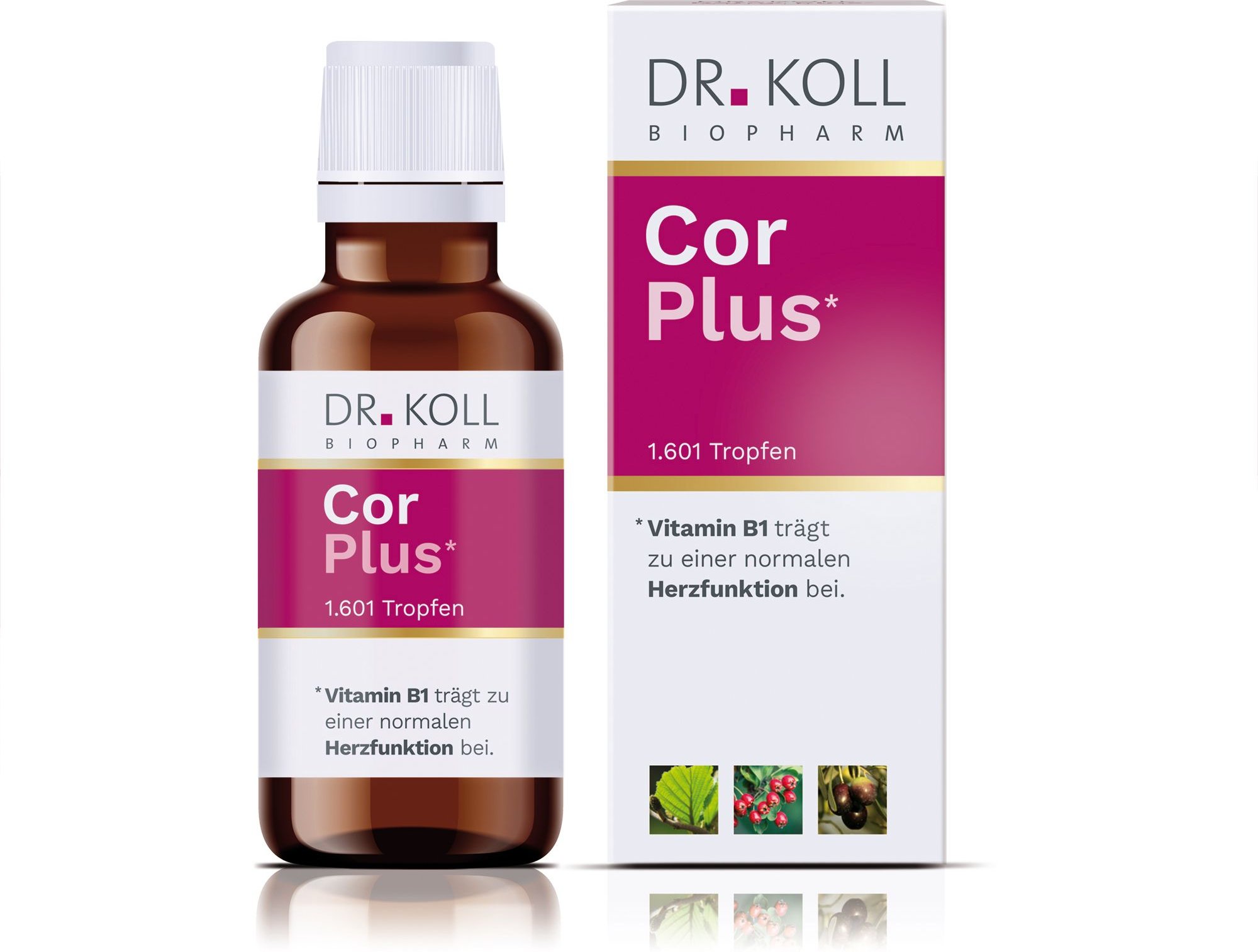 Cor Plus Dr. Koll Gemmo Komplex Weißdorn Vit.B1 Tro