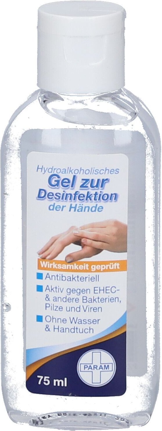 Desinfektionsgel für die Hand antibakteriell 75 ml Gel
