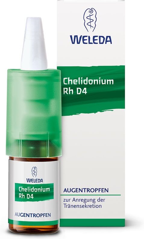 Chelidonium Rh D4 Augentropfen