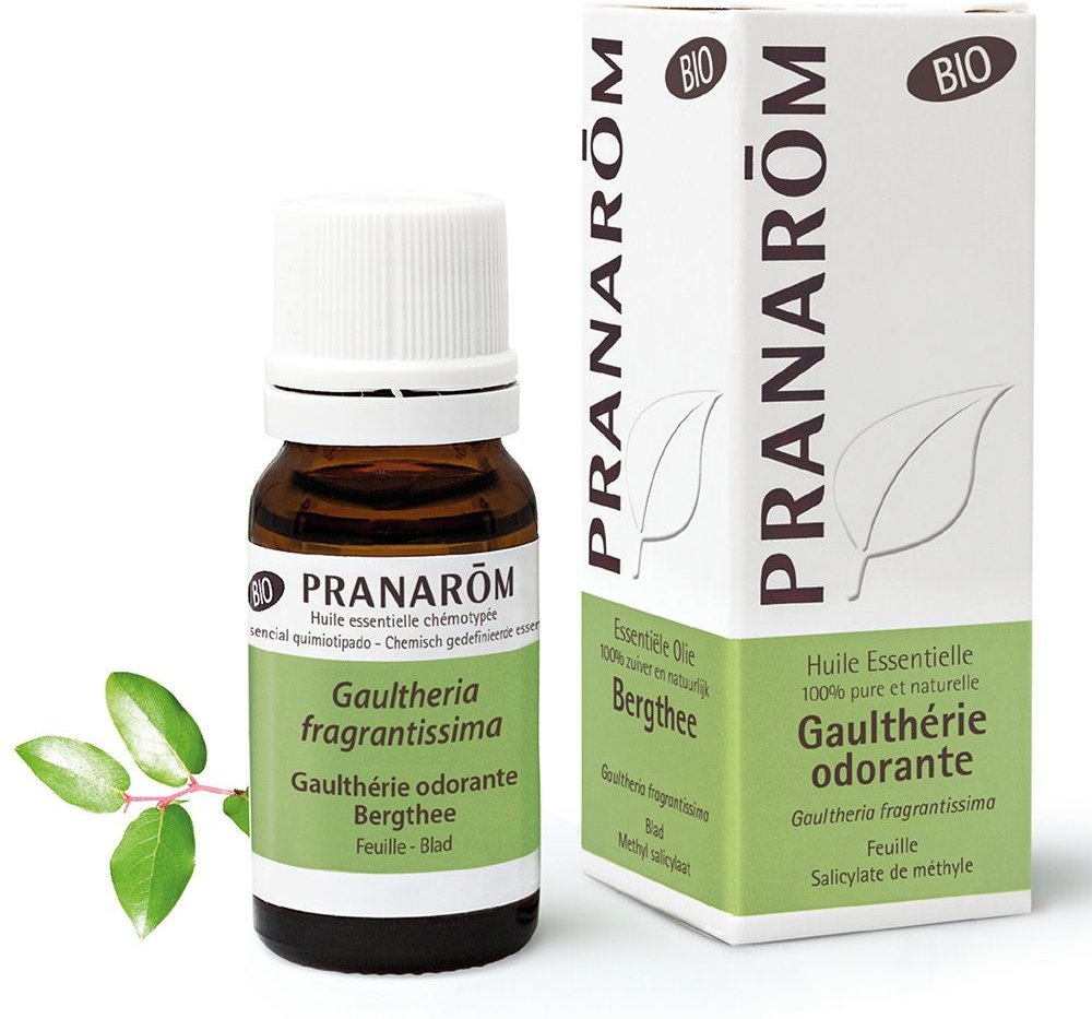 Gualtherie Odorante Bio Essentiële Olie 10 ml Öl