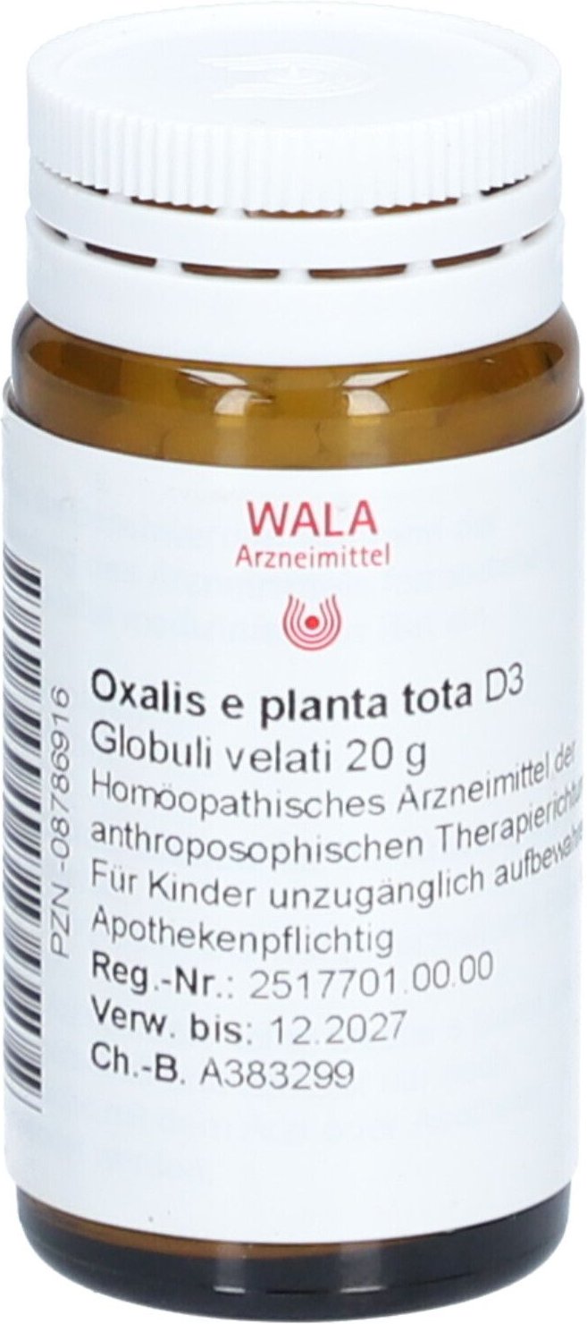 Oxalis E planta tota D 3 Globuli 20 g
