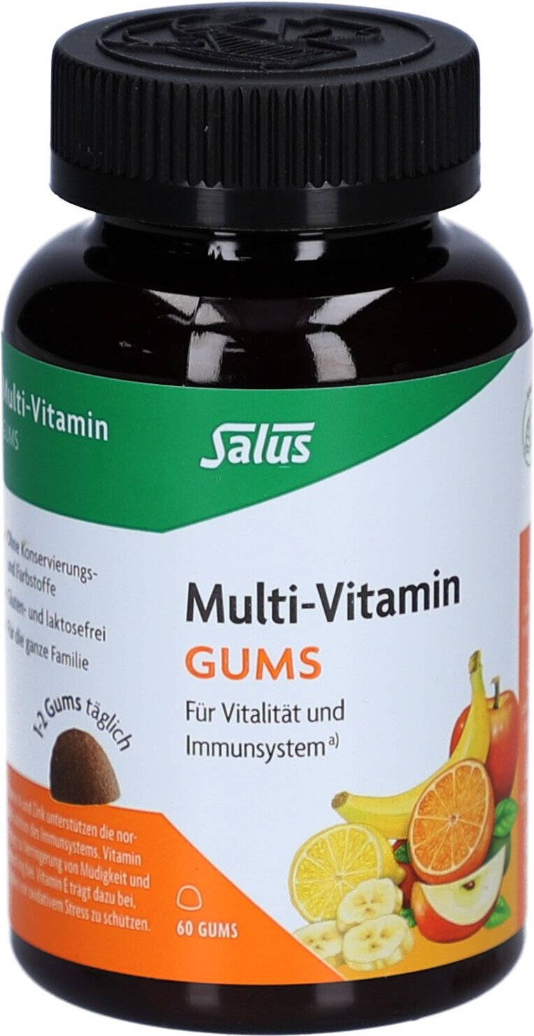Multivitamin Gums 60 St Kaudragees