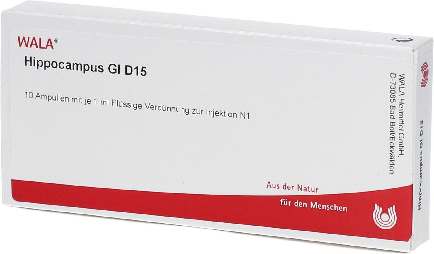 Hippocampus GL D 15 Ampullen
