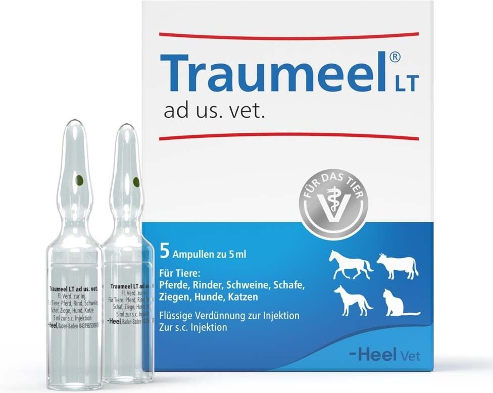 Traumeel LT ad us.vet.Ampullen 5x5 ml Ampullen