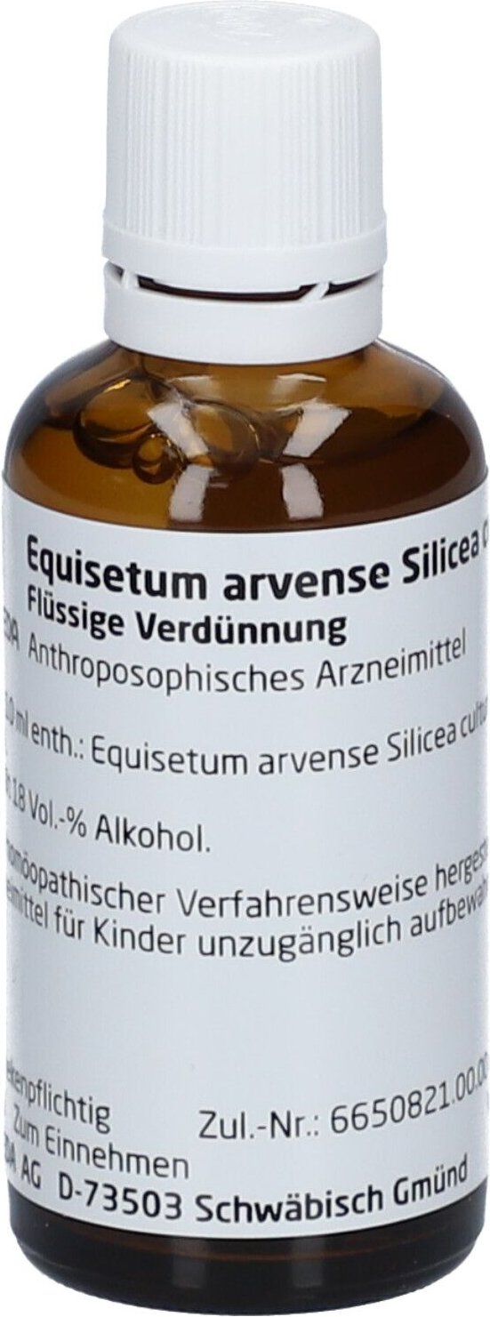 Equisetum Arvense Silicea cultum D 2 Dilution 50 ml