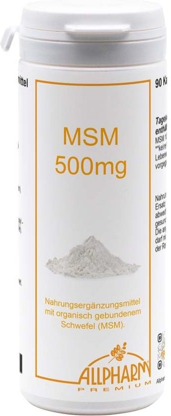 MSM Raab Vitalfood Kapseln 90 St