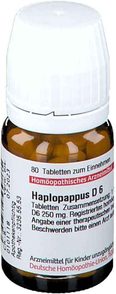 Haplopappus D 6 Tabletten 80 St