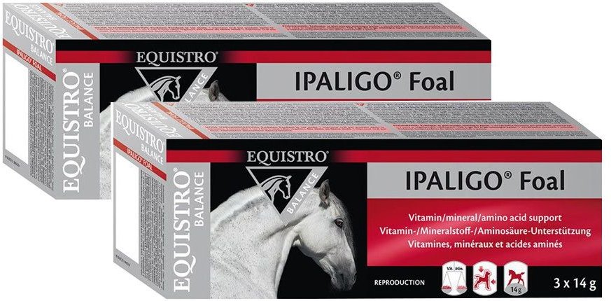 Equistro Ipaligo Foal VET Doppelpack 2x3x14 g Paste