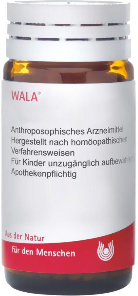 Echinacea E planta tota D 3 Globuli 20 g