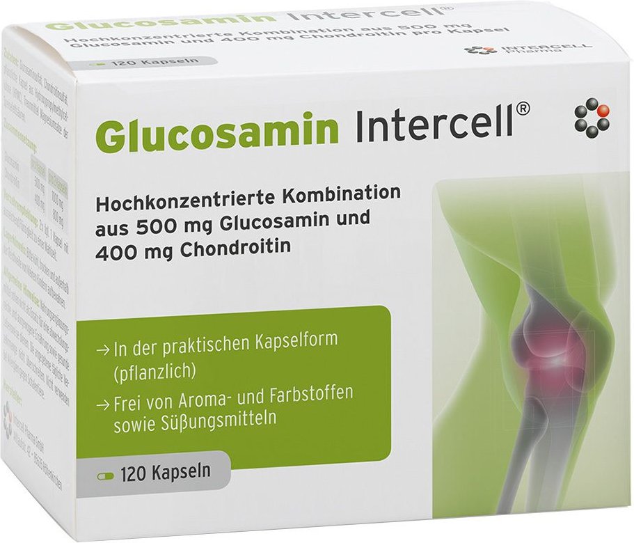 Glucosamin Intercell Kapseln 120 St