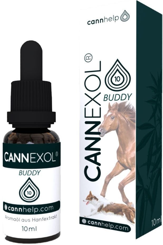 Thumbnail - CBD Cannabidiol 10% Pferd 10 ml Tropfen