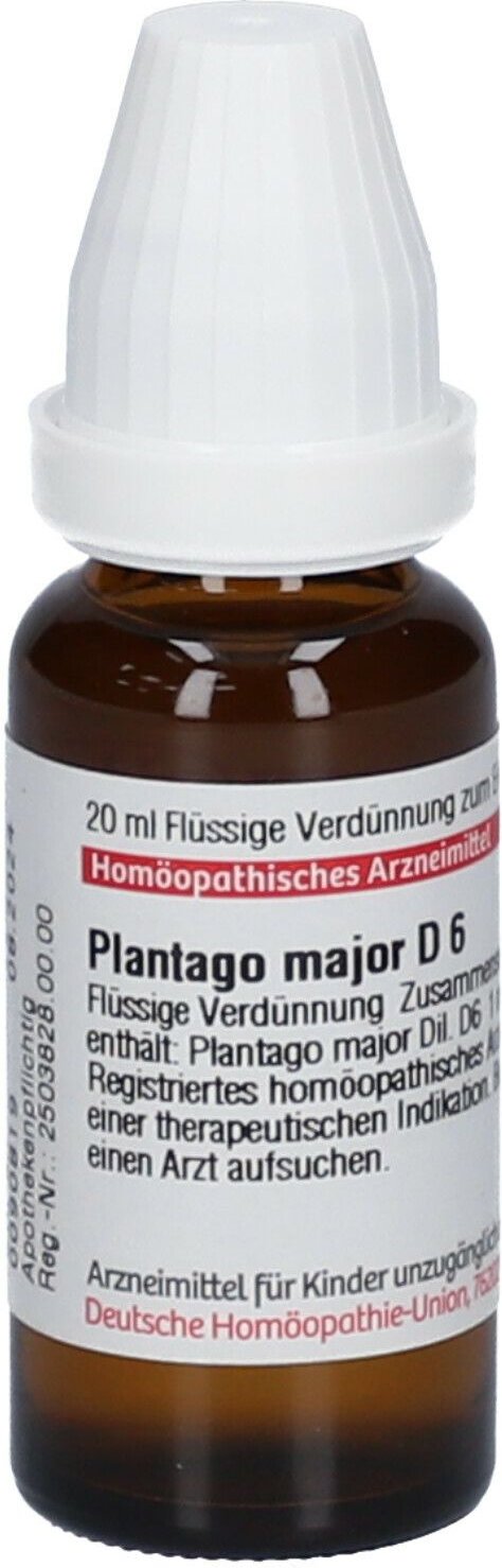 DHU Plantago Major D 6 Dilution