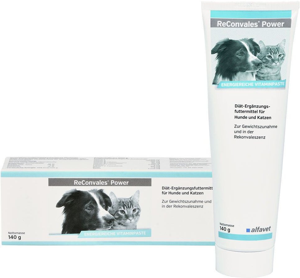 Thumbnail - Reconvales Power Vitaminpaste f.Hunde/Katzen 140 g Paste