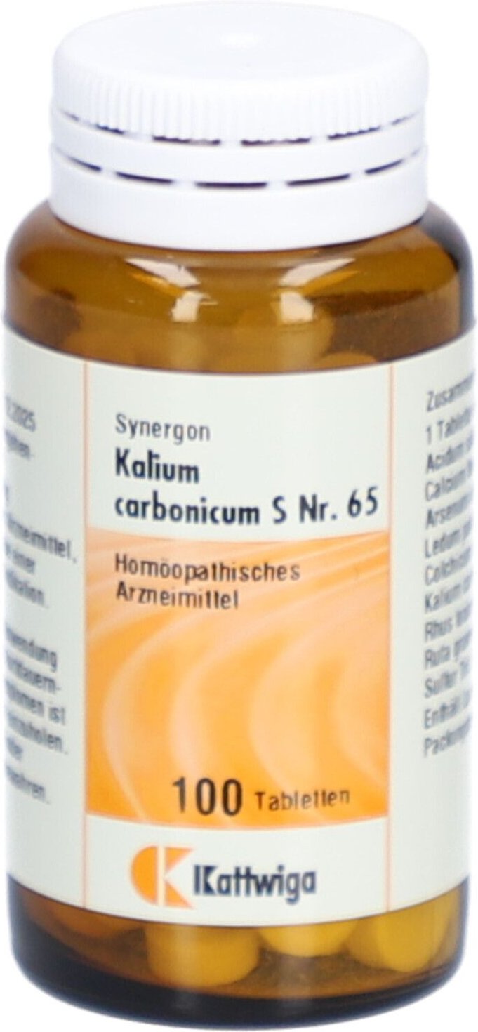 Synergon Komplex 65 Kalium carbonicum S Tabletten 100 St