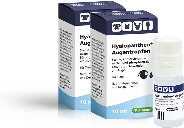 Hyalopanthen Augentropfen (Doppelpack) 2x10 ml