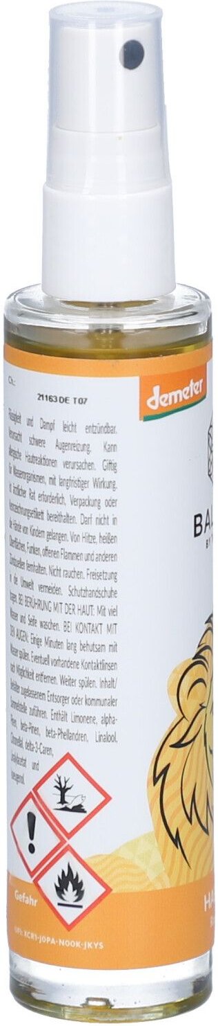 Baldini Hab Mut Raumspray 50 ml Spray