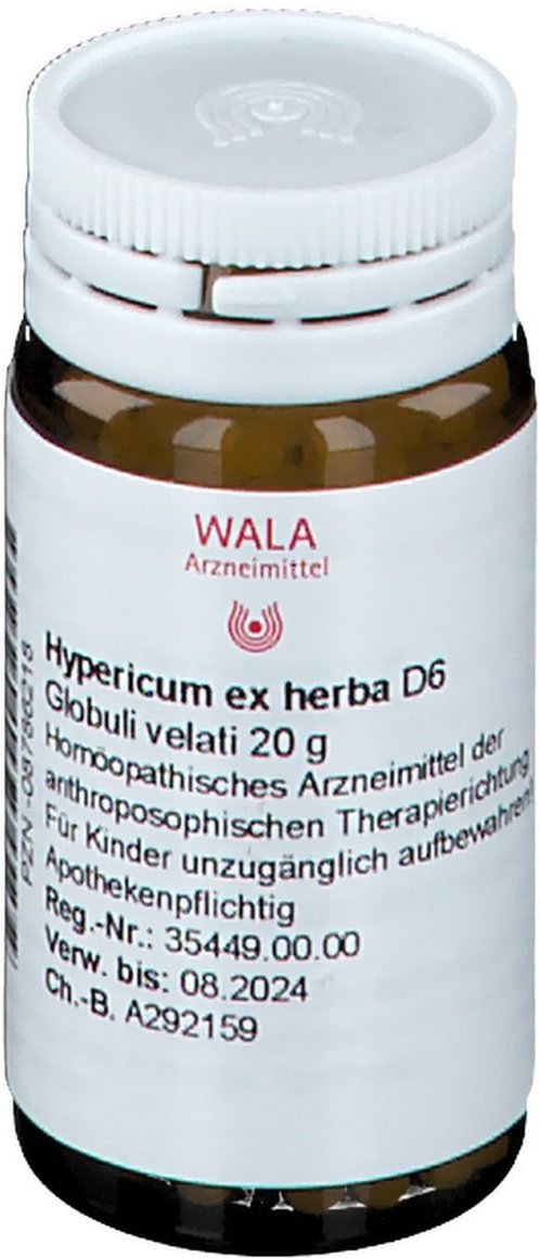 Thumbnail - Hypericum ex Herba D 6 Globuli