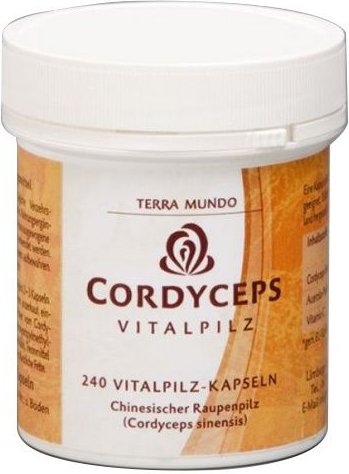 Cordyceps Vitalpilz Terra Mundo Kapseln 240 St