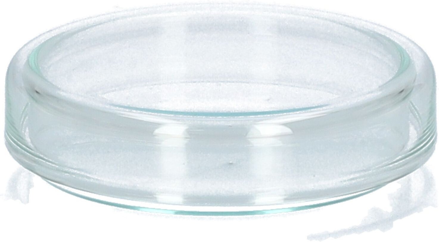 Petrischale 6 cm 1 St Schale