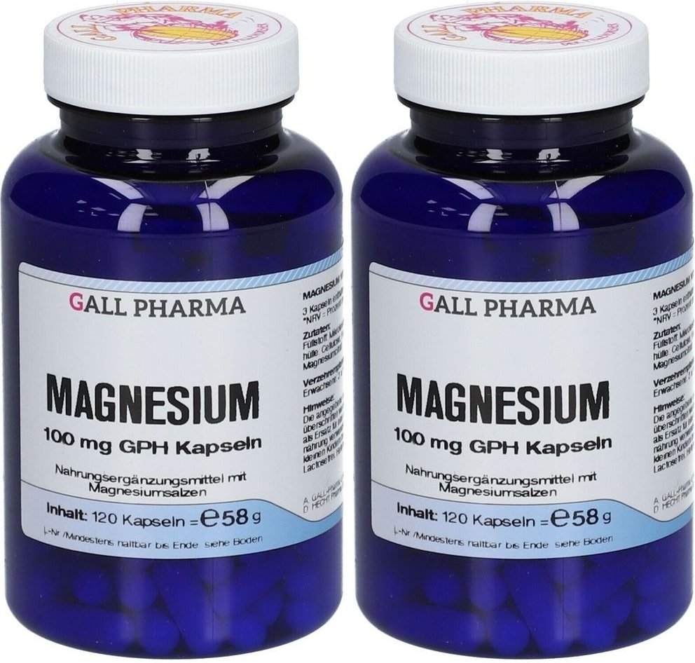 Magnesium 100 mg GPH Kapseln 2x 2x120 St