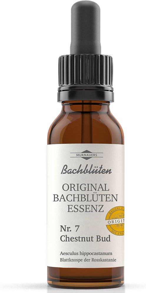 Bachblüten Murnauer Chestnut Bud Tropfen 20 ml