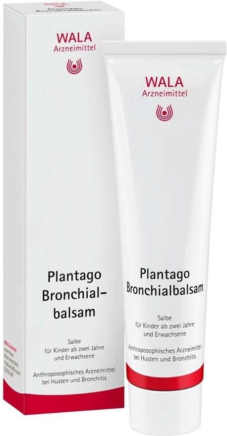 Plantago Bronchialbalsam 100 g Salbe