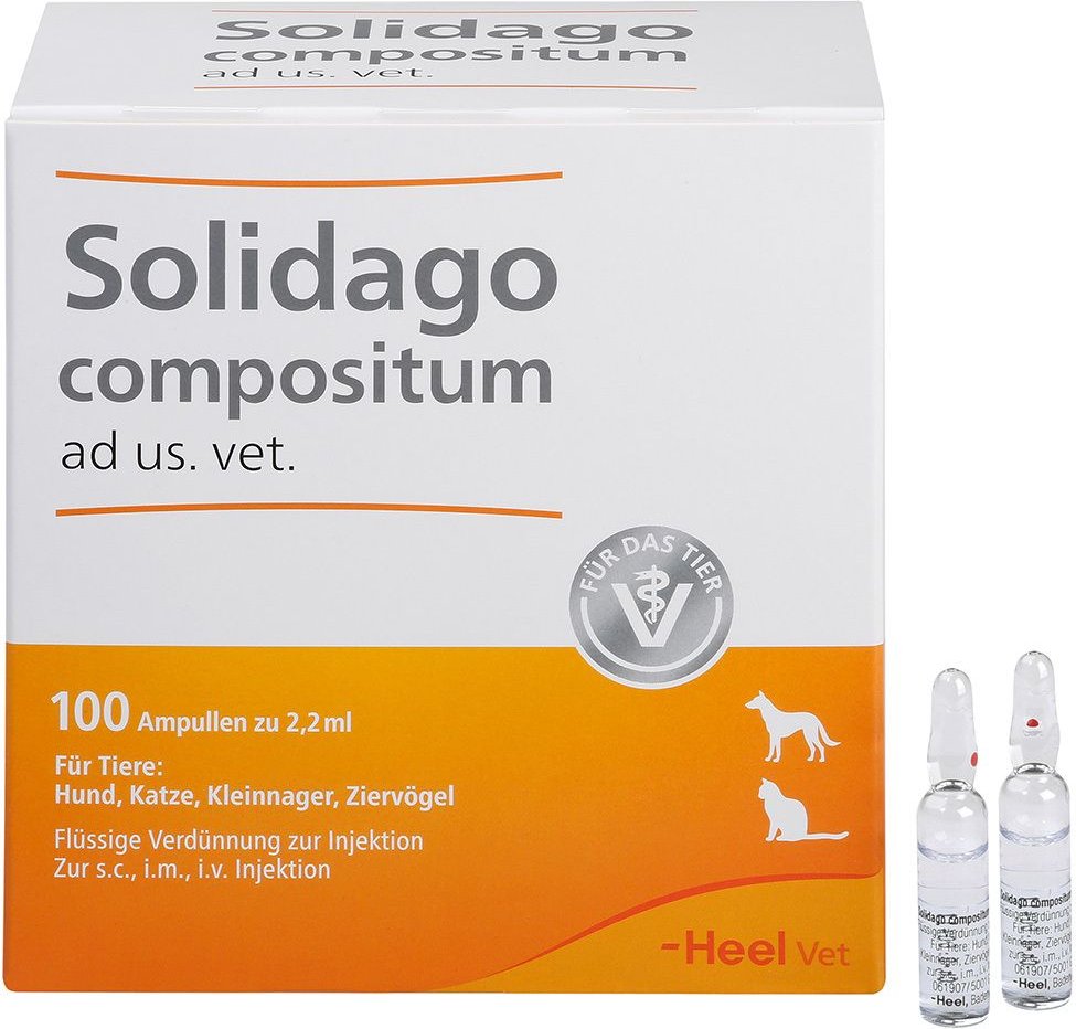 Thumbnail - Solidago Compositum ad us.vet.Ampullen 100 St Ampullen