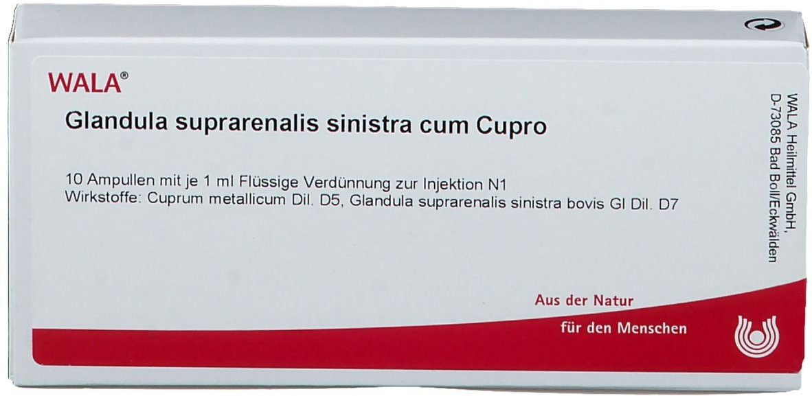 Glandula suprarenalis sinistra cum Cuprom Cupro Ampullen