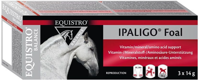 Equistro Ipaligo Foal Erg.Futterm.Paste f.Pferde 3x14 g Paste
