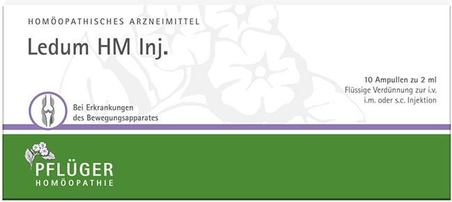 Ledum HM Injekt Ampullen
