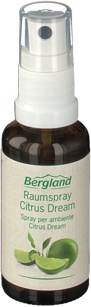 Raumspray Citrus Dream 30 ml Spray