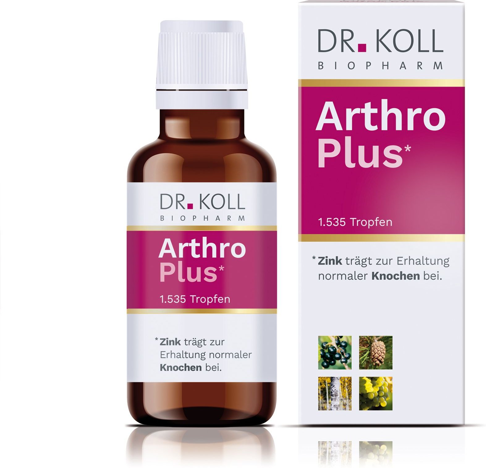 Arthro Plus Dr. Koll Gemmo Komplex Weinrebe Zink