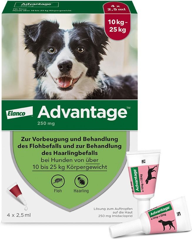 Advantage 250 Lösung f.Hunde 10-25 kg 4 St