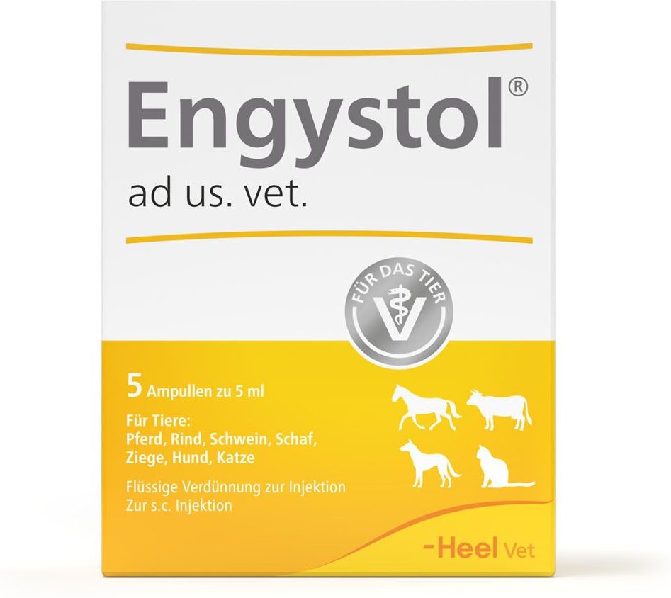 Thumbnail - Engystol ad us.vet.Ampullen 5 St Ampullen