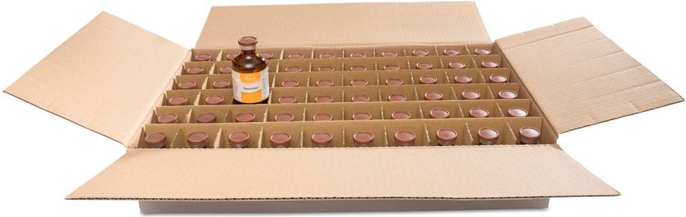Pascorbin Injektionslösung Injektionsflasche 60x50 ml
