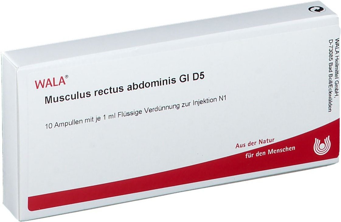 Musculus Rectus abdominis GL D 5 Ampullen 10x1 ml