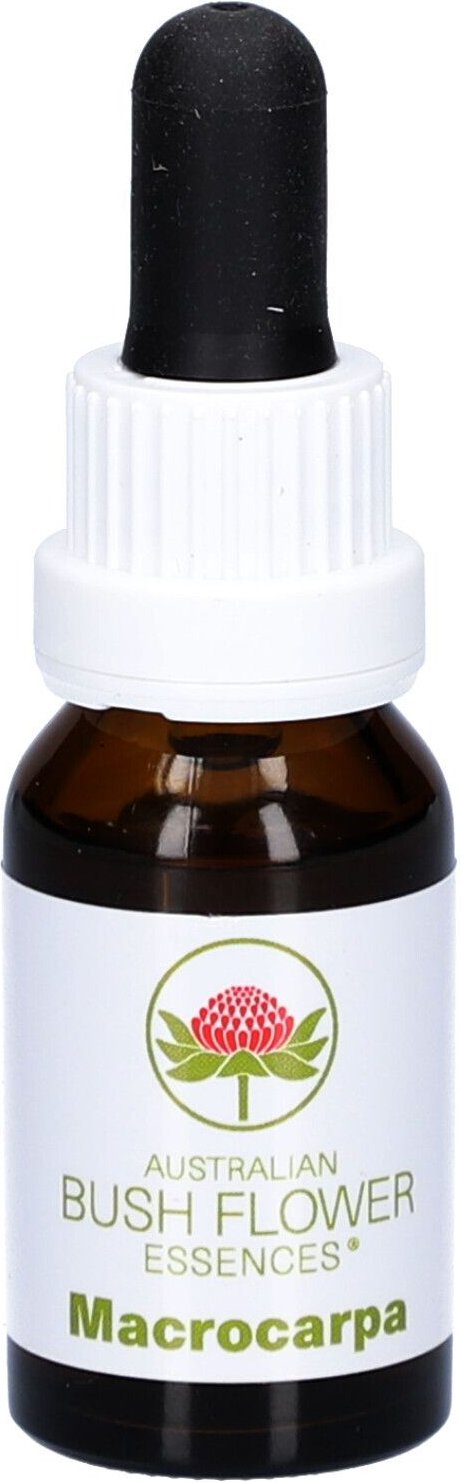 Macrocarpa austr.Bushblüte Tropfen 15 ml