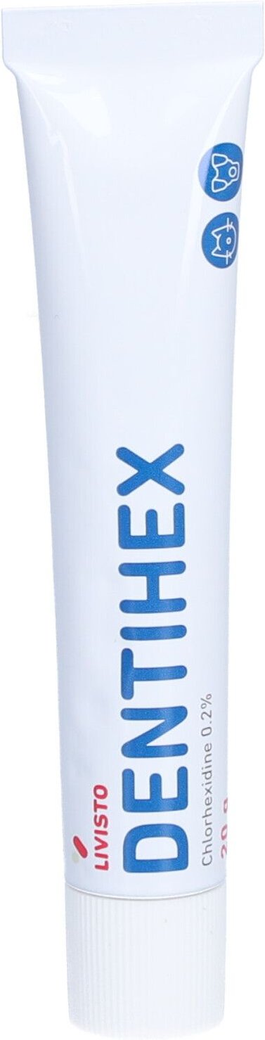 Dentihex Dent Hu/Ka PST 20 g