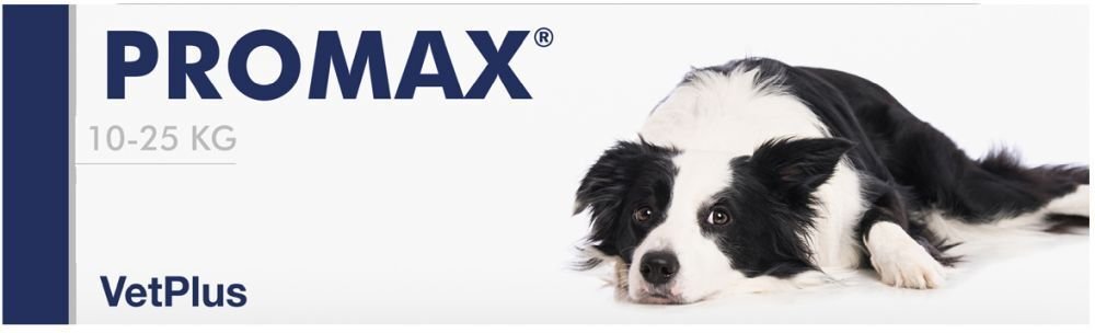 Promax Medium Breed 18Ml 18 ml Paste
