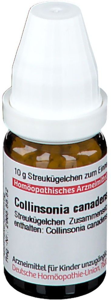 DHU Collinsonia canadensis D 6 G