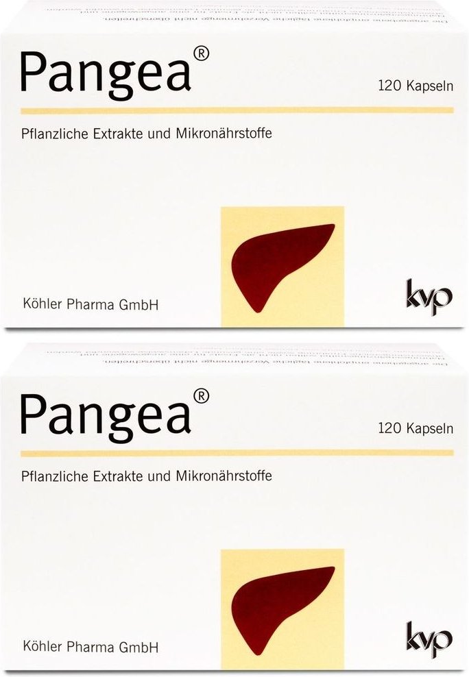 Pangea Kapseln 2x 2x120 St