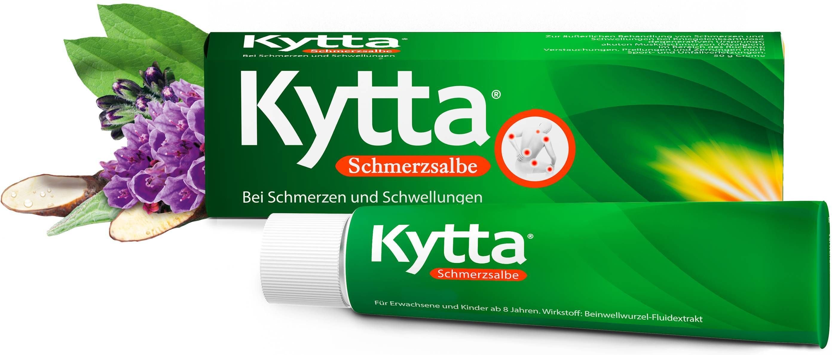 Kytta Schmerzsalbe 100 g Salbe