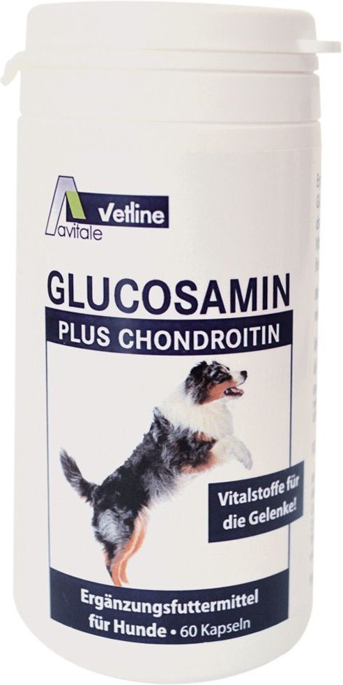 Glucosamin+Chondroitin Kapseln f.Hunde 60 St