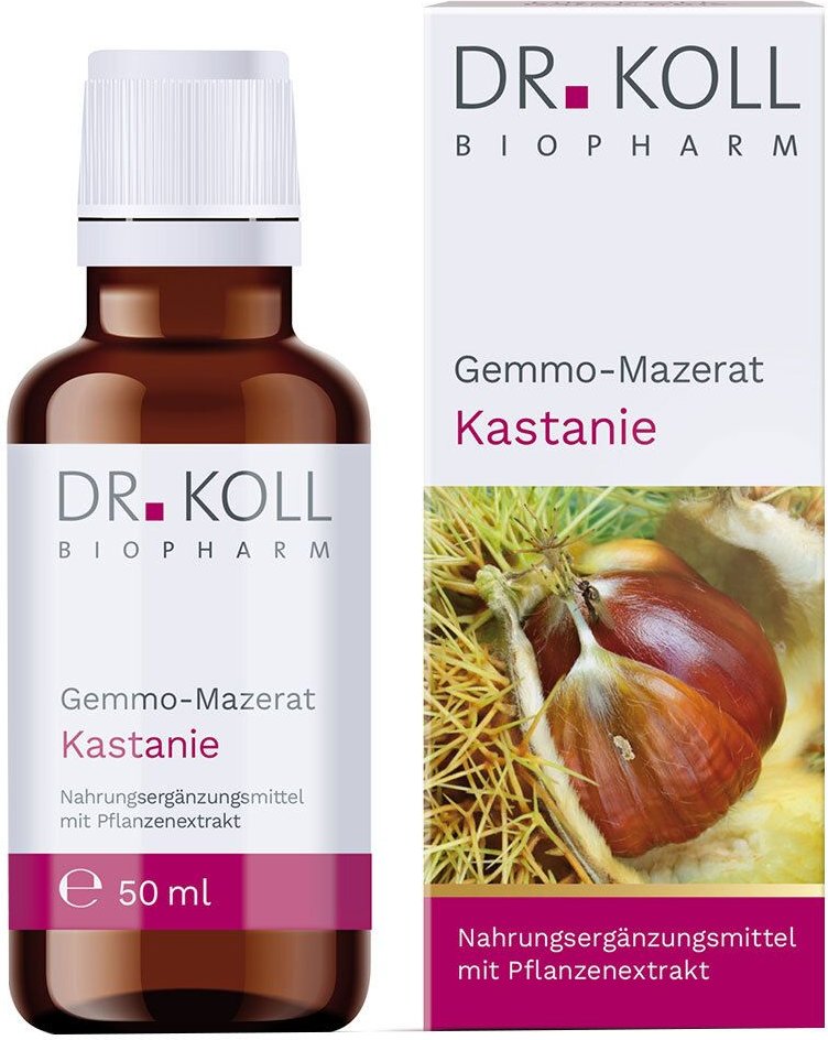 Gemmo Mazerat Kastanie Dr. Koll Castanea vesca Tro.