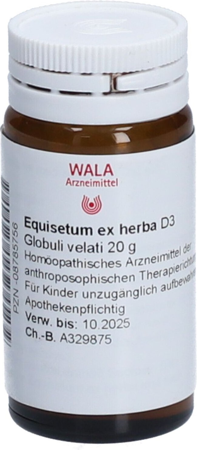 Thumbnail - Equisetum EX Herba D 3 Globuli 20 g