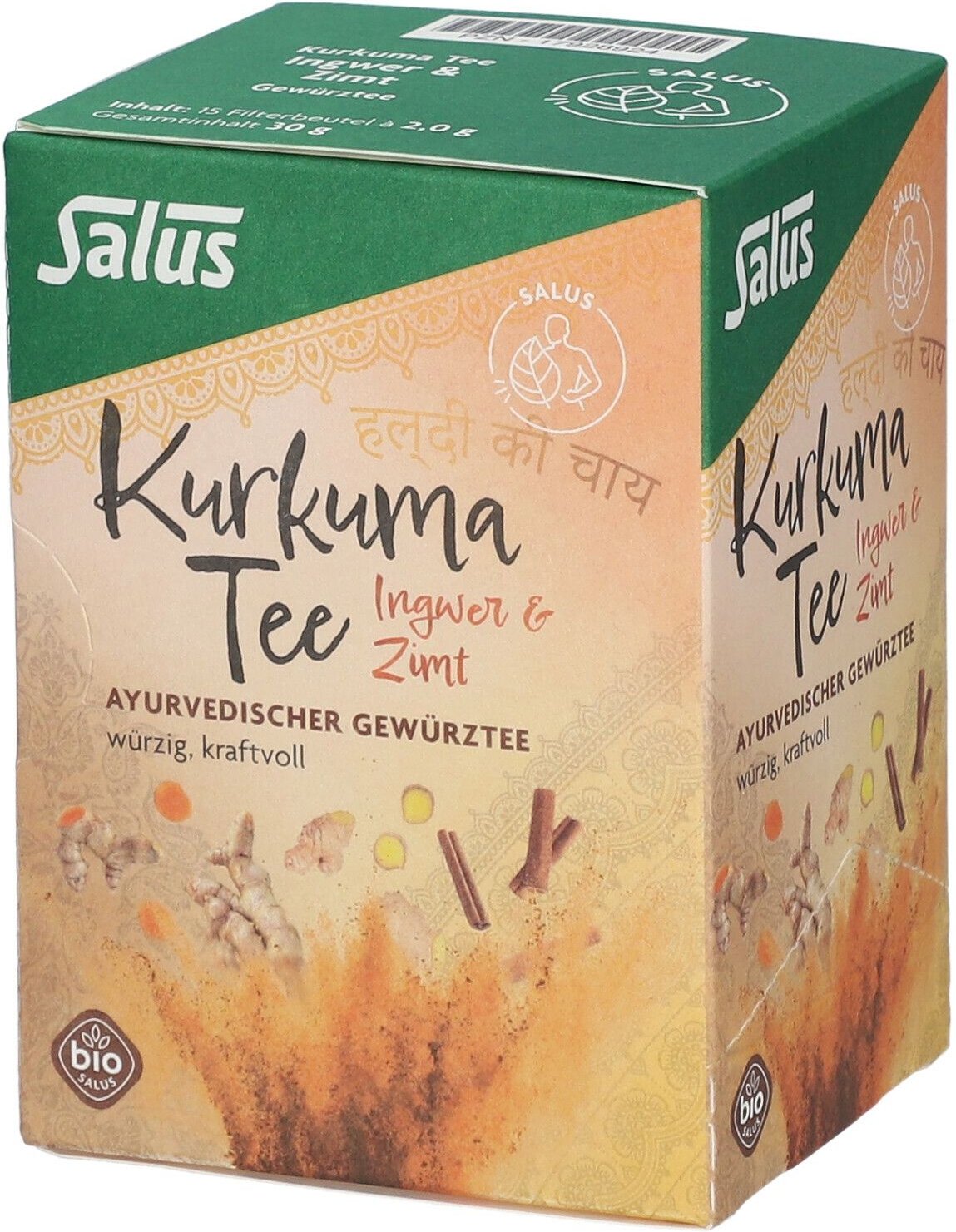 Kurkuma TEE Ingwer & Zimt Bio Salus Filterbeutel 15 St