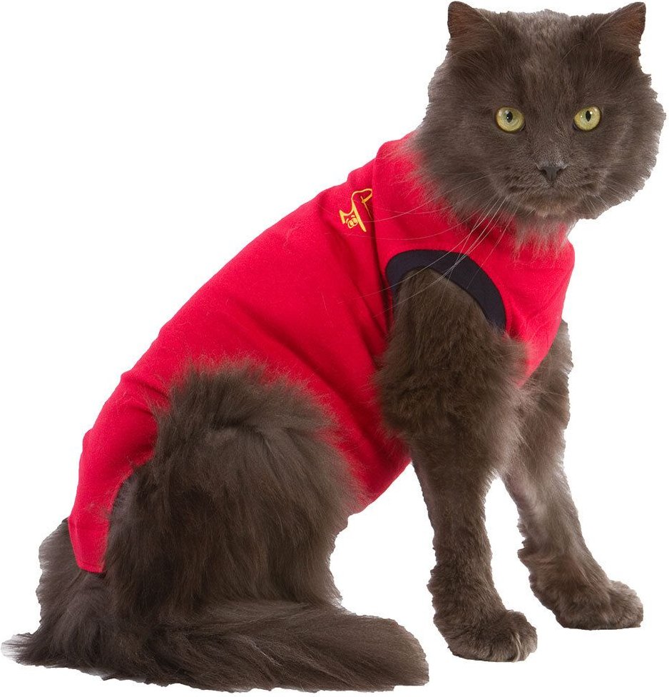 Medical Pet Shirt Katze XS 1 St TODO