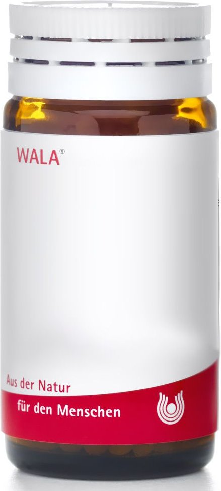 Viscum Echinacea Globuli 20 g