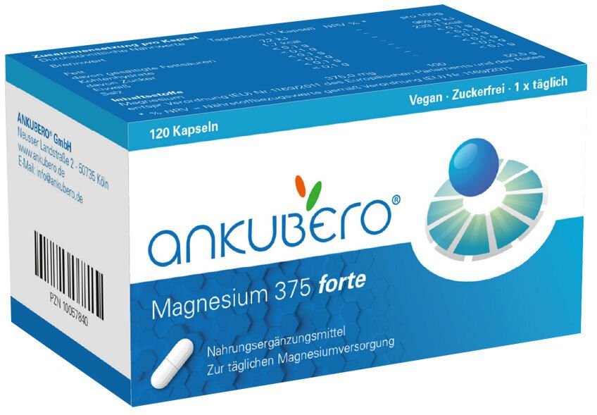 Magnesium 375 forte Kapseln 120 St