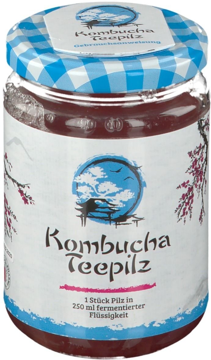 Kombucha Teepilz 1 St Tee